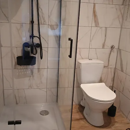 Apartment Pod Roza Ledzin